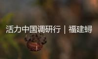 活力中国调研行｜福建蟳埔村：簪花如潮涌 古村焕新生